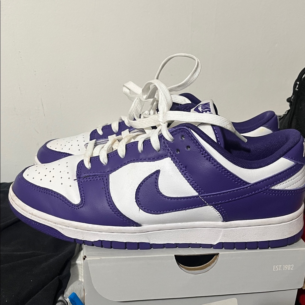 Nike Dunk Low in Purple and White